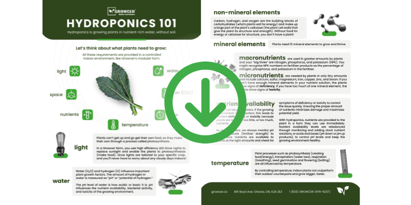 Hydroponics 101